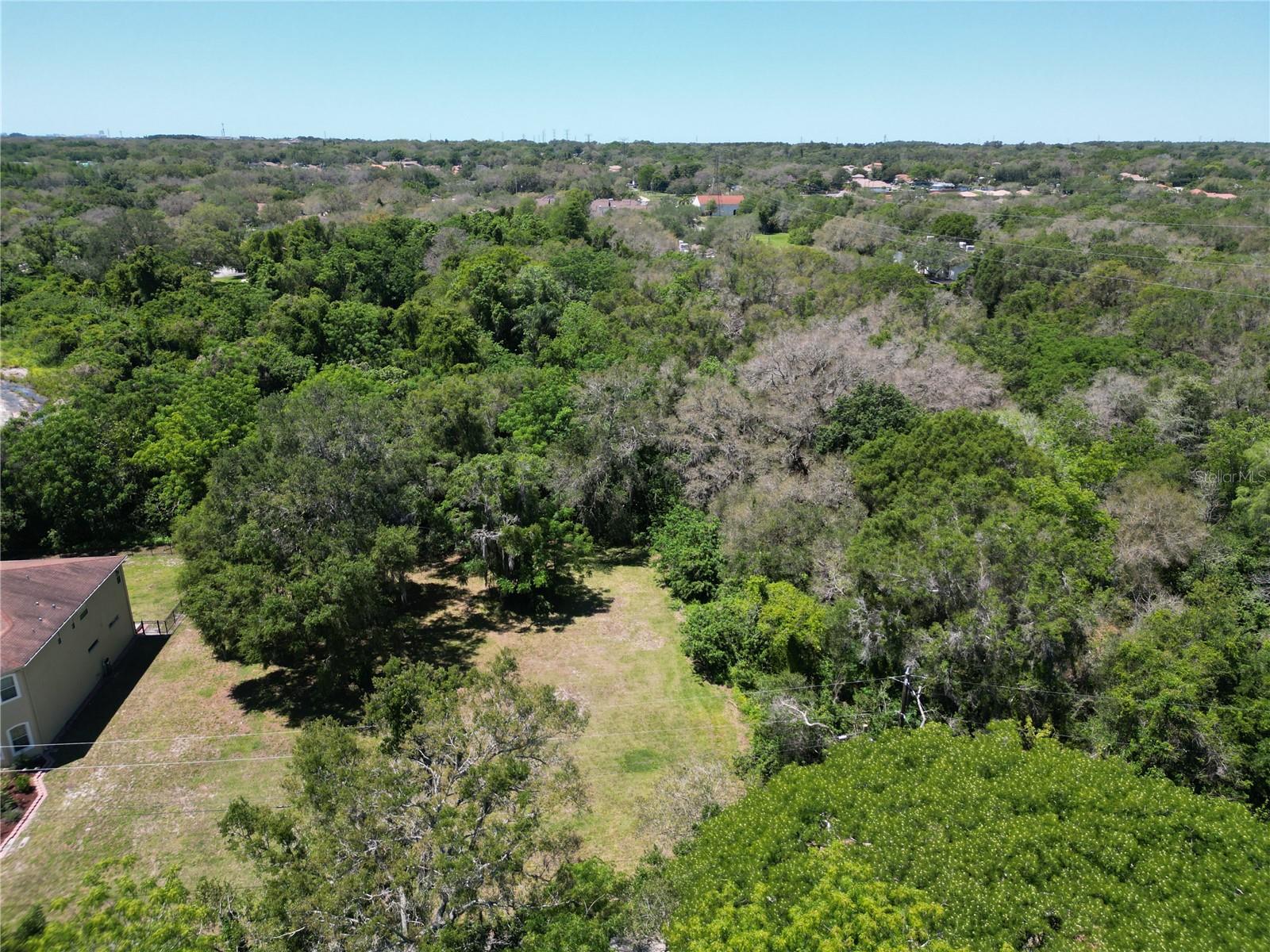 Photo of ELM STREET SAFETY HARBOR FL 34695