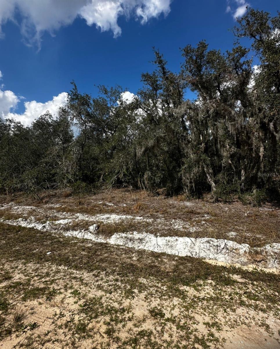 Photo of 0 ALLISON AVENUE LAKE WALES FL 33859