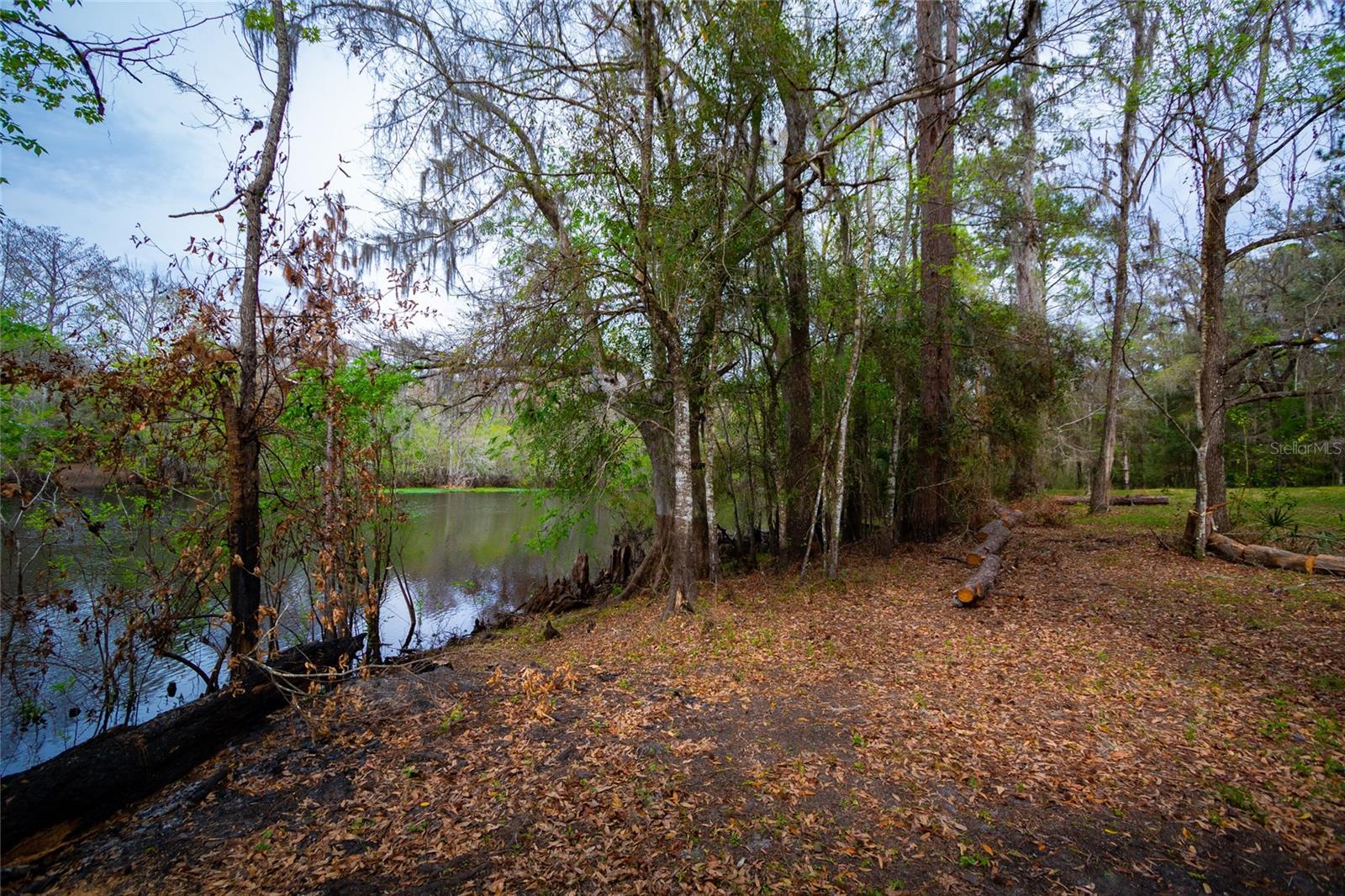 Photo of 7822 CR 647 BUSHNELL FL 33513