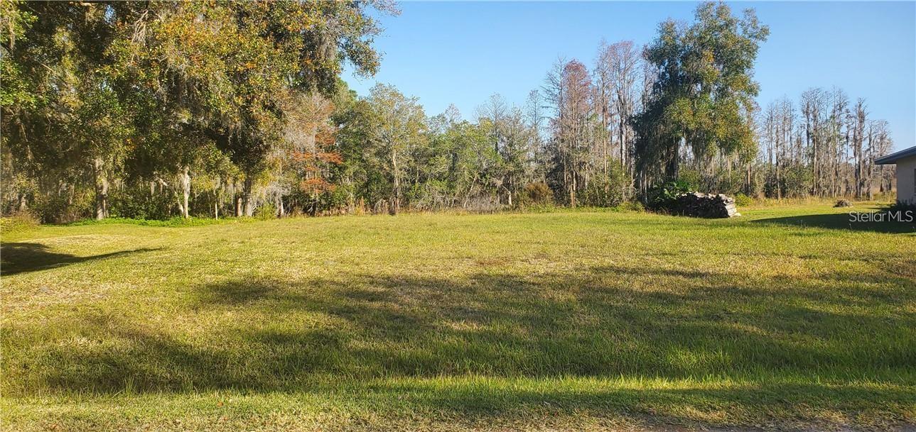 Photo of 11124 LAKE SHORE DRIVE LAND O LAKES FL 34637