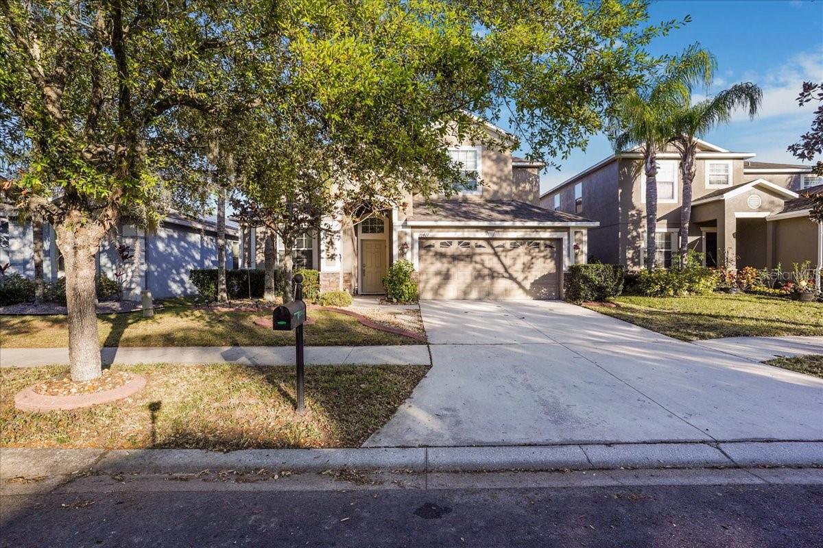 Photo of 20427 CAROLINA CHERRY COURT TAMPA FL 33647
