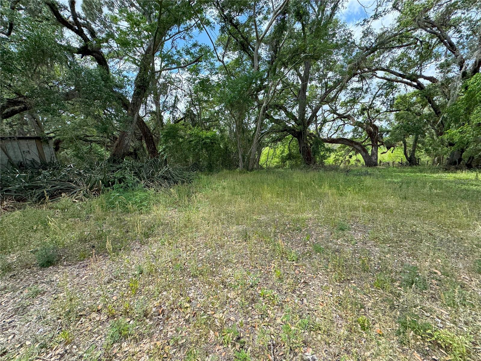 Photo of 3221 DUBLIN ROAD DADE CITY FL 33523
