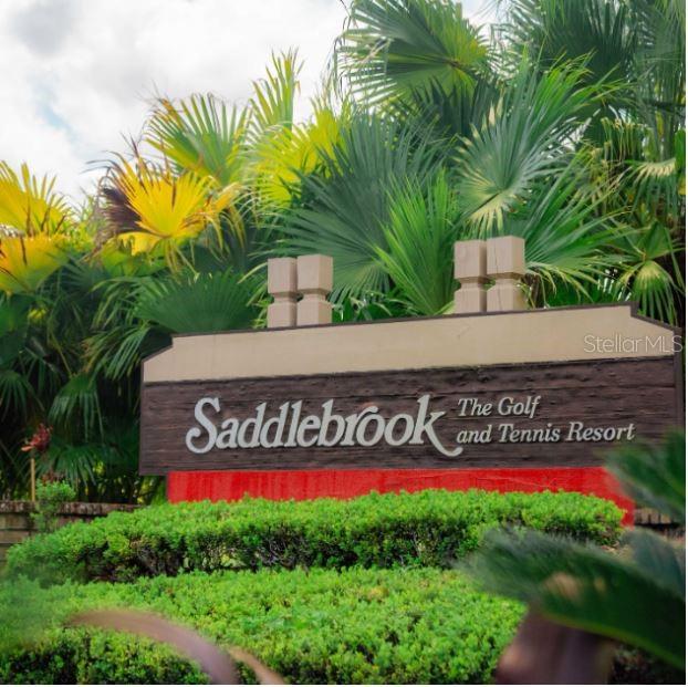 Photo of 5454 SADDLEBROOK WAY #2 WESLEY CHAPEL FL 33543