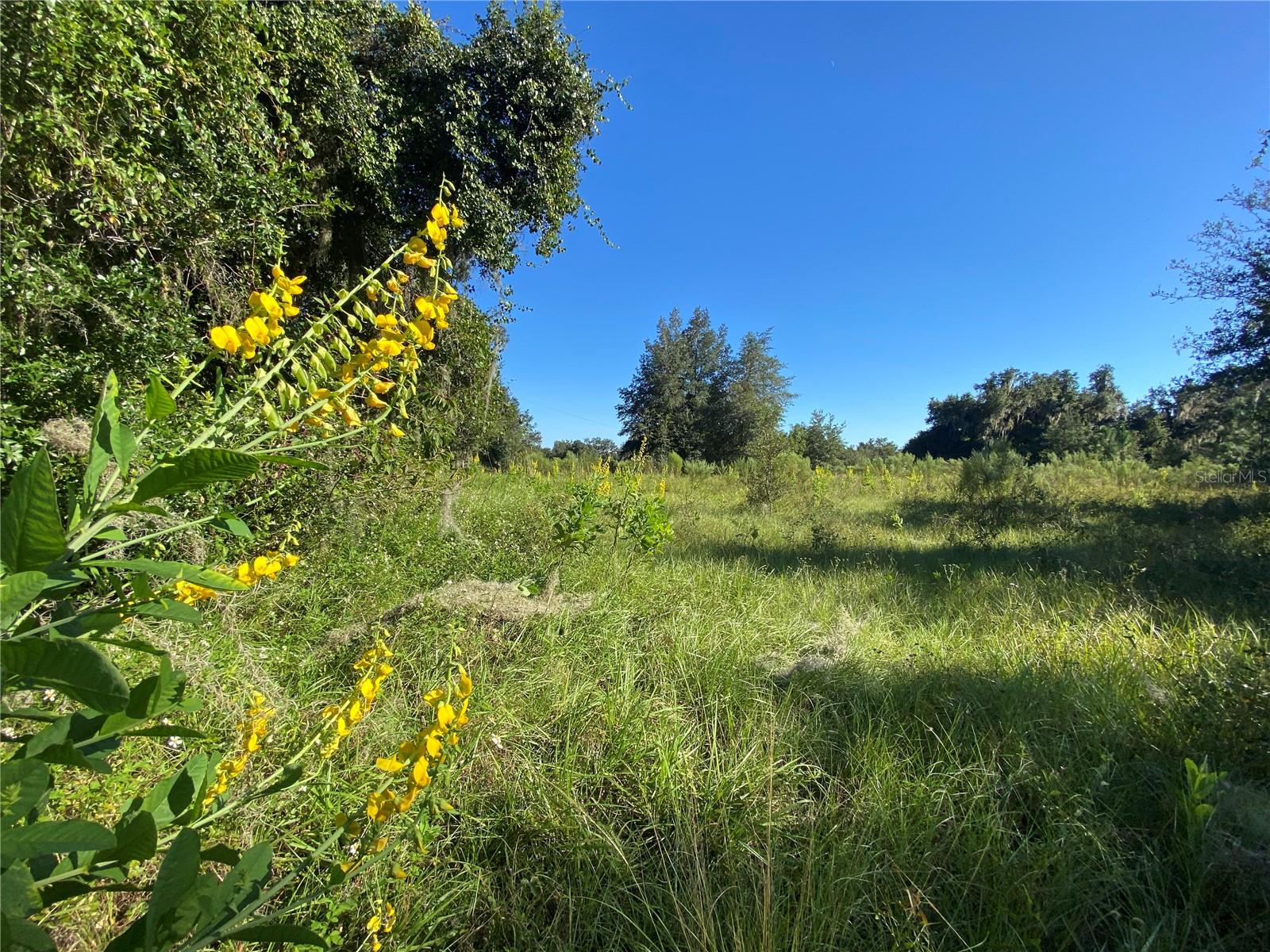 Photo of 8701 S FRUITION AVENUE FLORAL CITY FL 34436