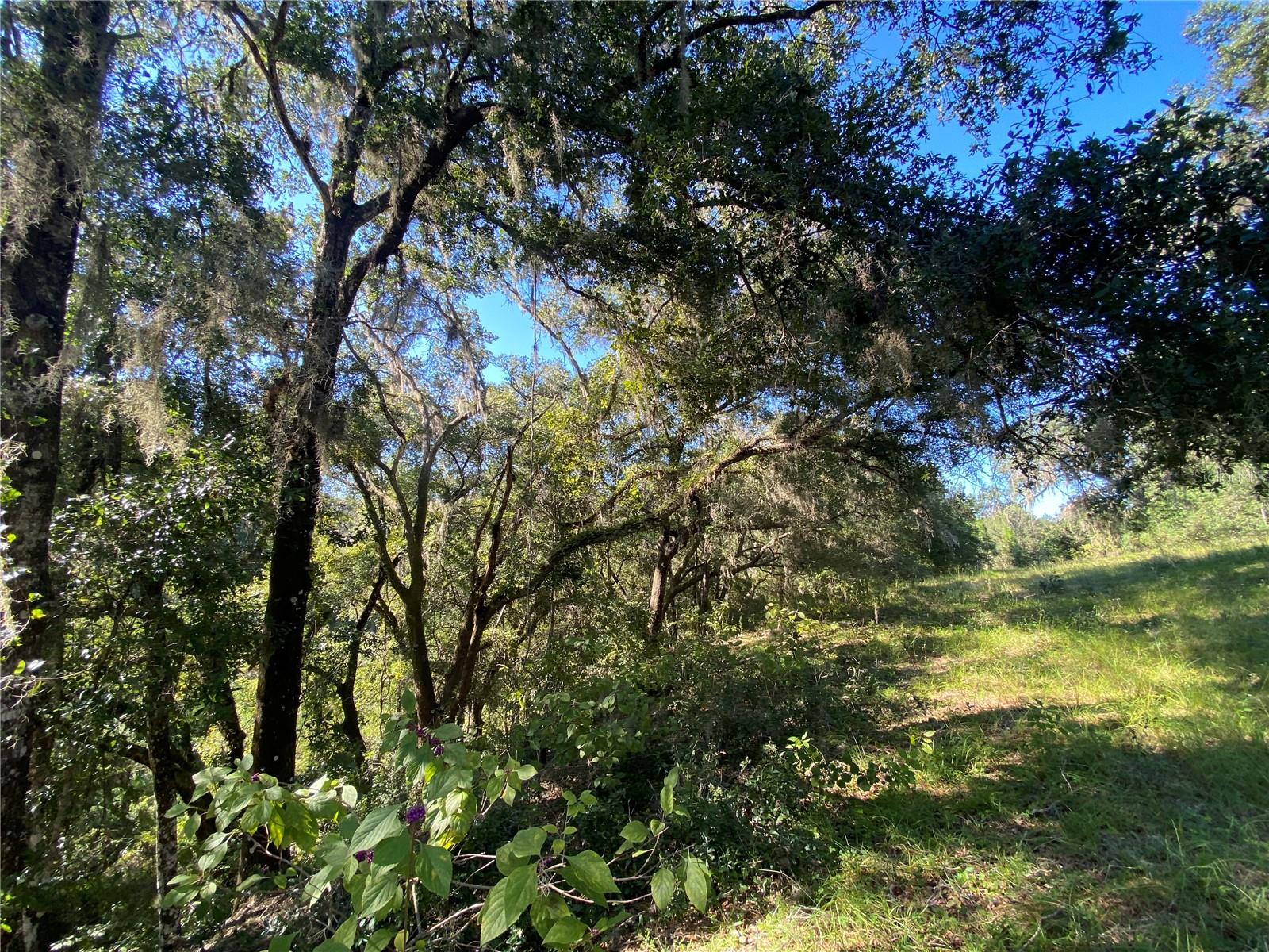 Photo of 7373 E SAVANNAH COURT FLORAL CITY FL 34436