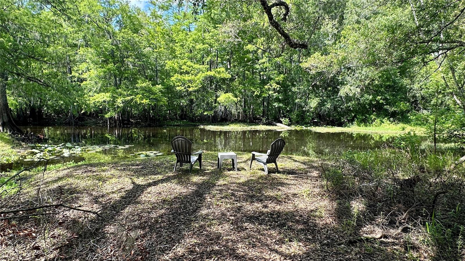 Photo of 29133 LAWTON DRIVE NOBLETON FL 34661