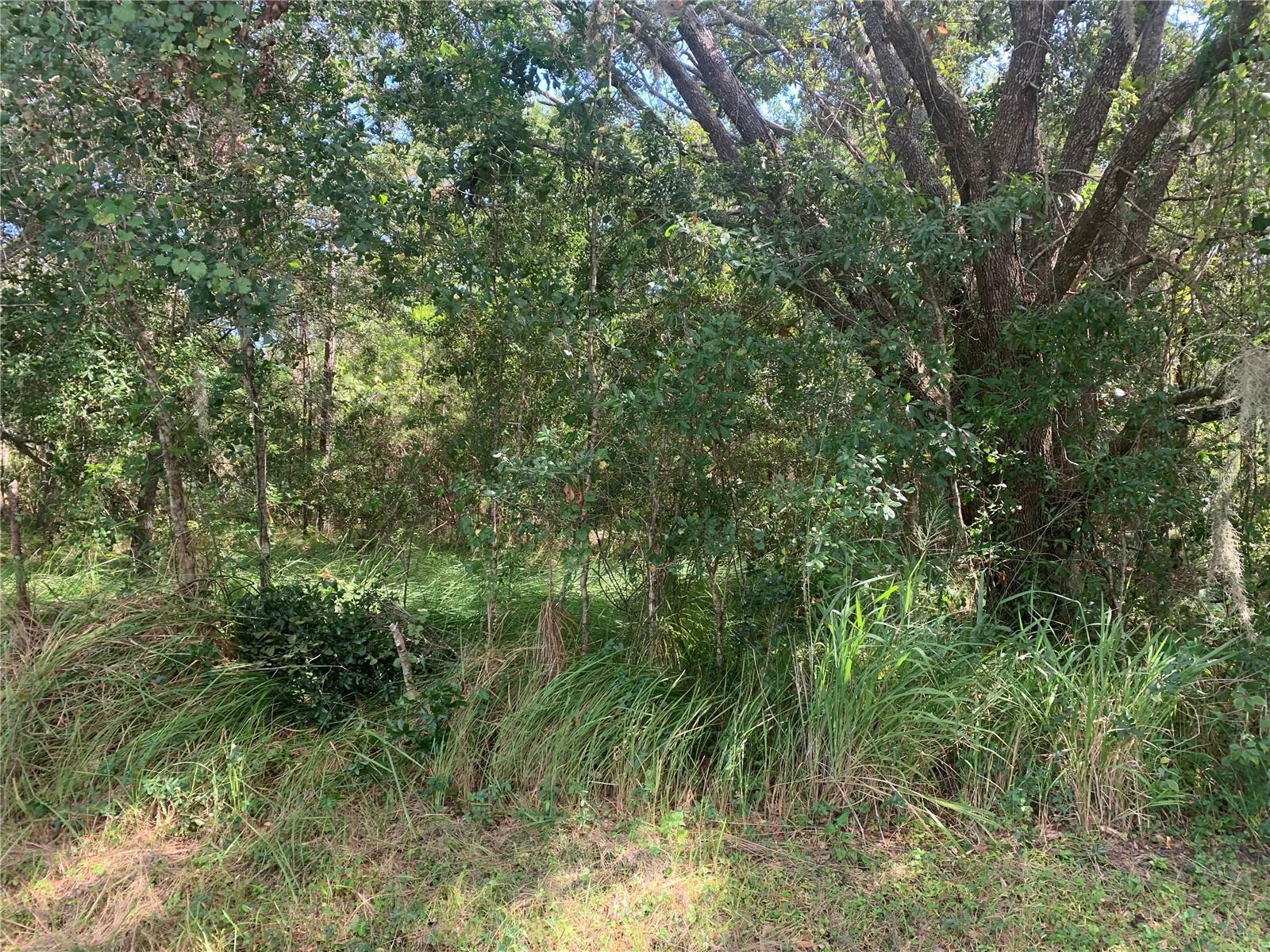 Photo of 0 HAIG STREET LAKE WALES FL 33898