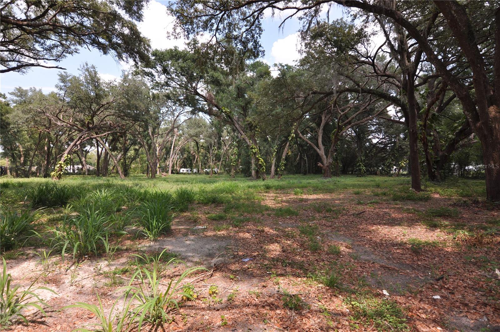 Photo of 6734 20TH STREET ZEPHYRHILLS FL 33542
