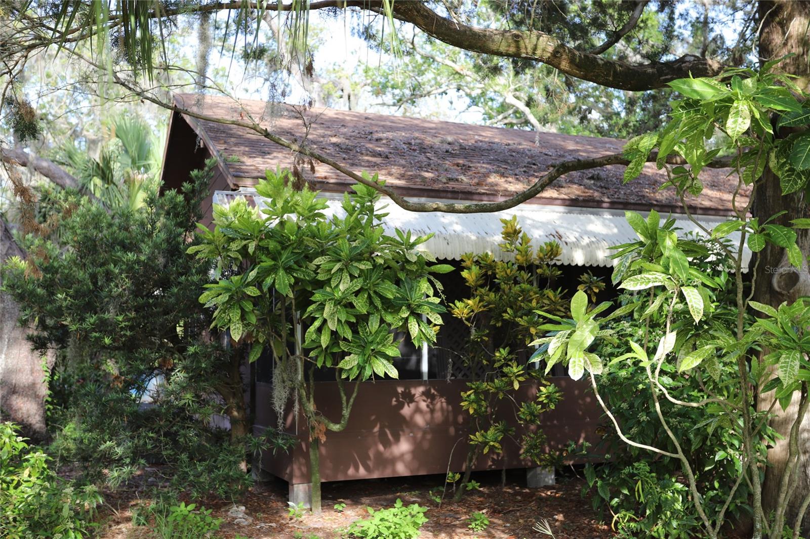Photo of 260 ORANGE STREET PALM HARBOR FL 34683