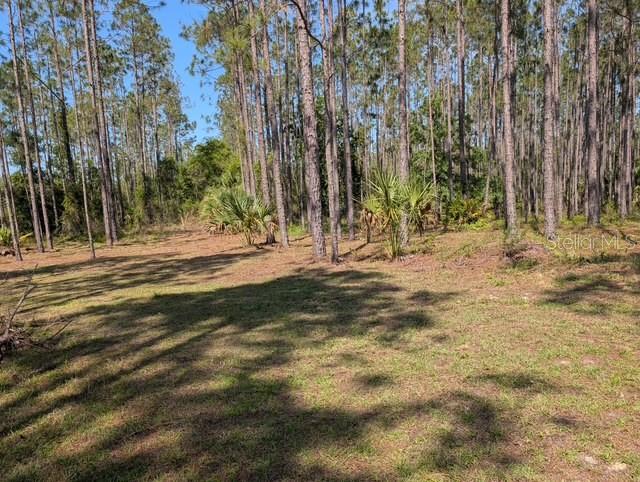 Photo of 540 SW 326TH AVENUE STEINHATCHEE FL 32359