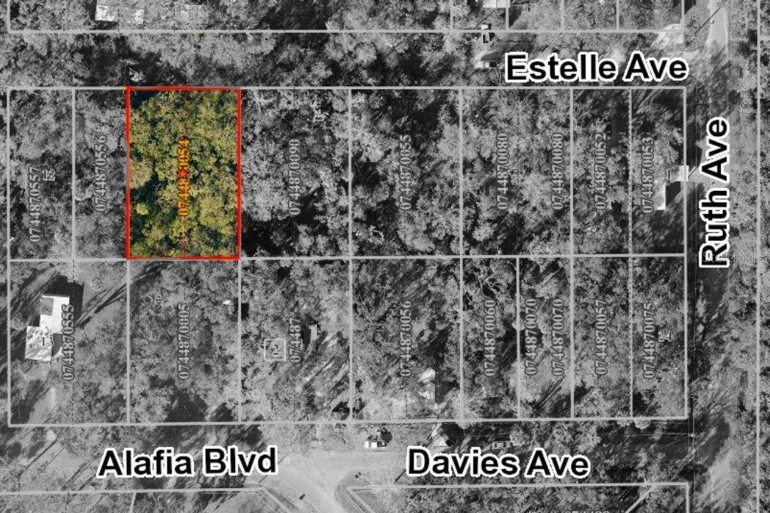Photo of 931 ESTELLE AVENUE BRANDON FL 33511
