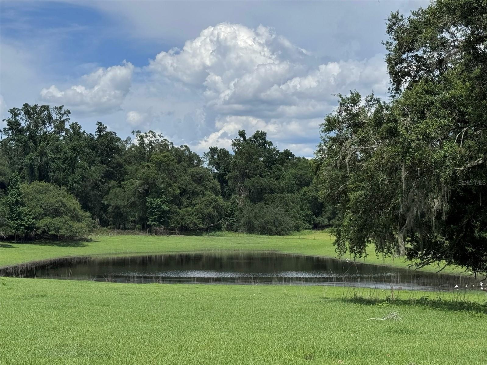 Photo of 20716 RAMER ROAD DADE CITY FL 33523