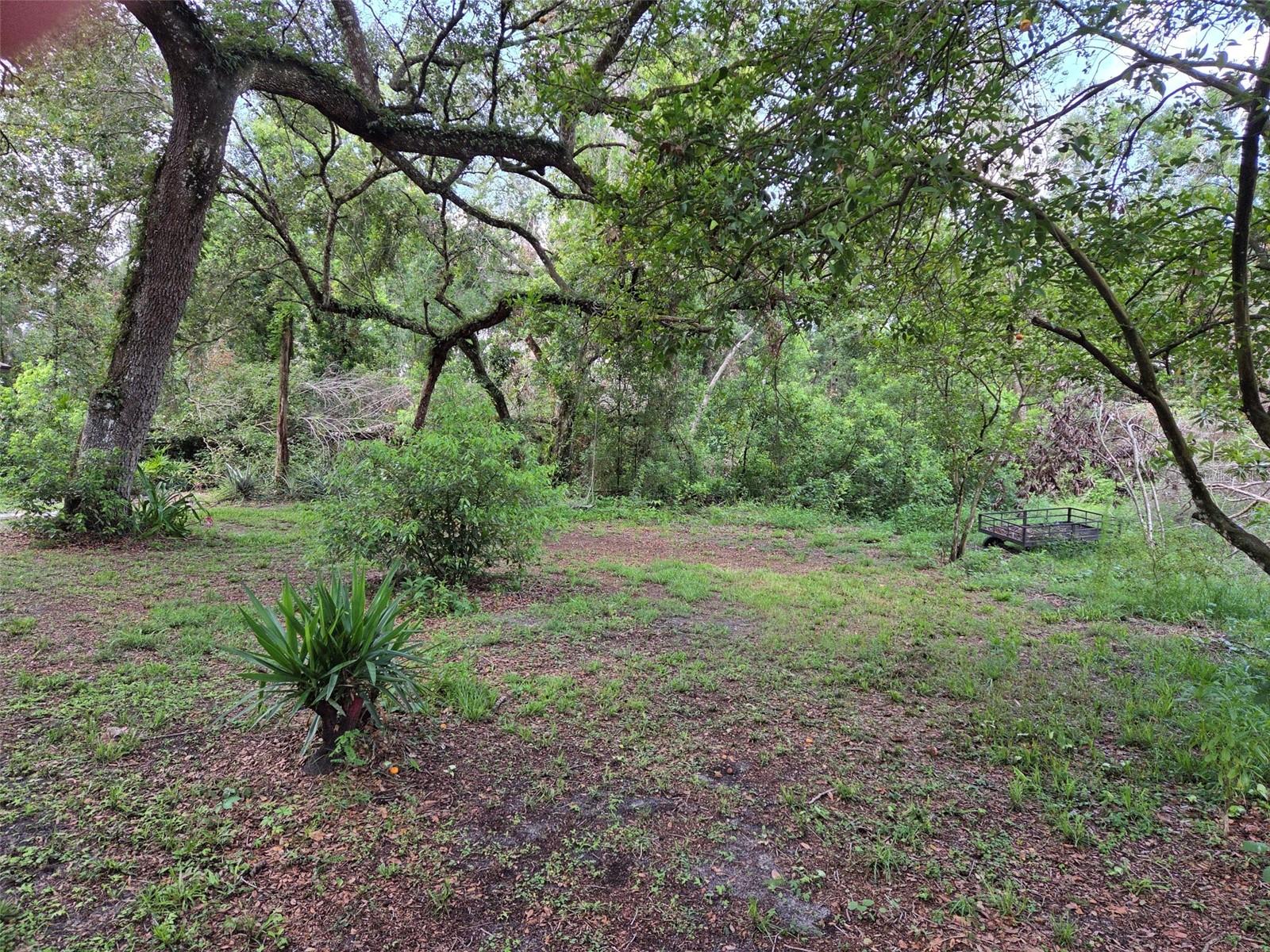 Photo of 37742 GLADES LANE ZEPHYRHILLS FL 33542