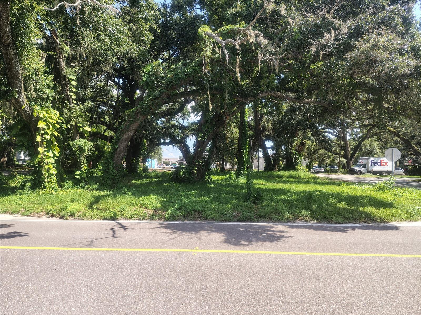 Photo of 113 E ROBERTSON STREET BRANDON FL 33511