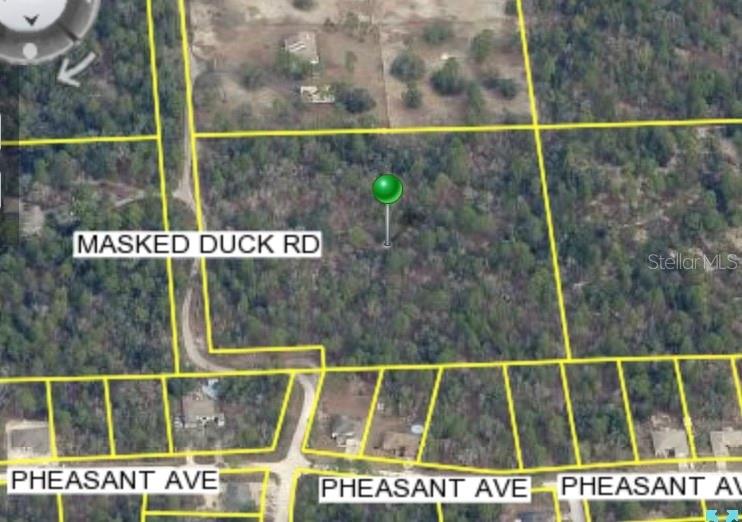 Photo of MASKED DUCK ROAD BROOKSVILLE FL 34614