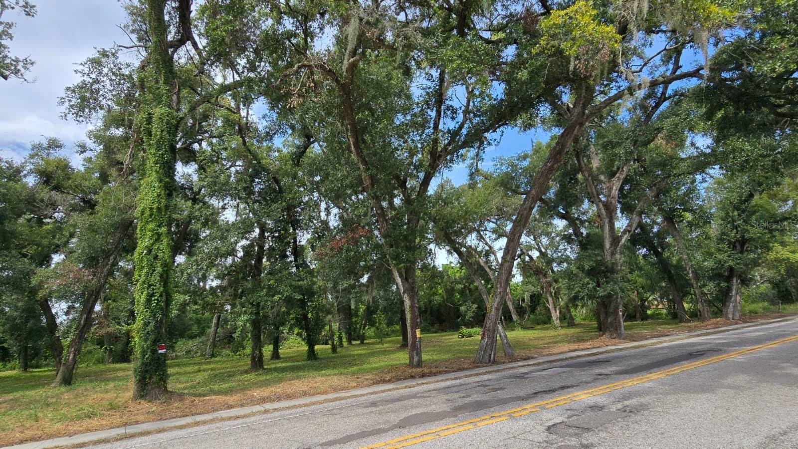 Photo of 712 LITHIA PINECREST ROAD BRANDON FL 33511
