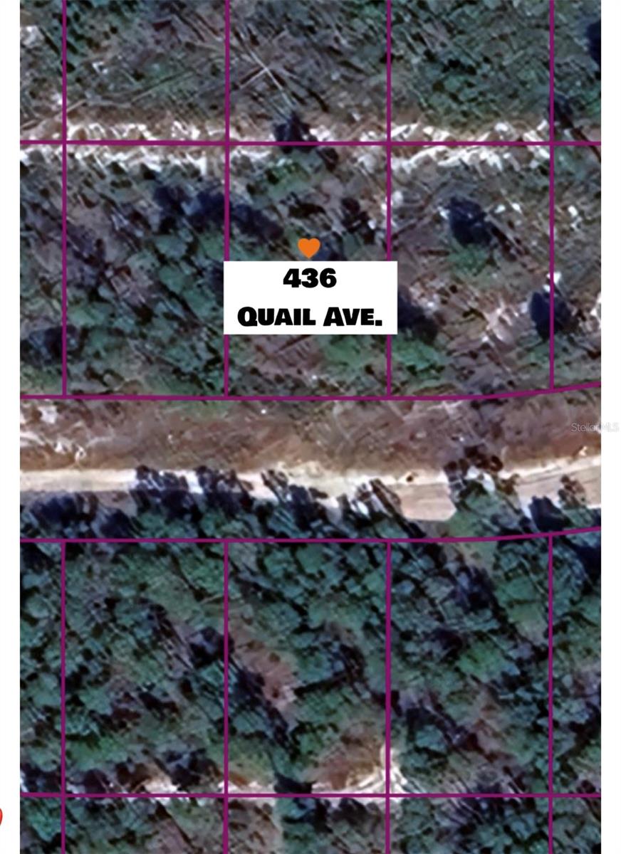 Photo of 436 QUAIL AVENUE SEBRING FL 33870