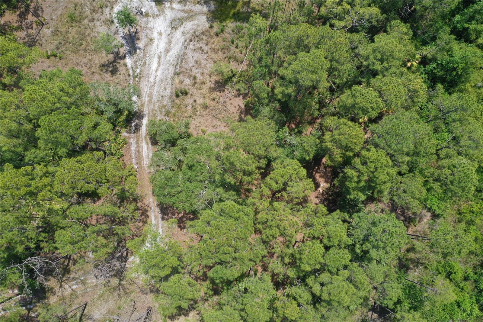 Photo of SW 75TH ST CEDAR KEY FL 32625