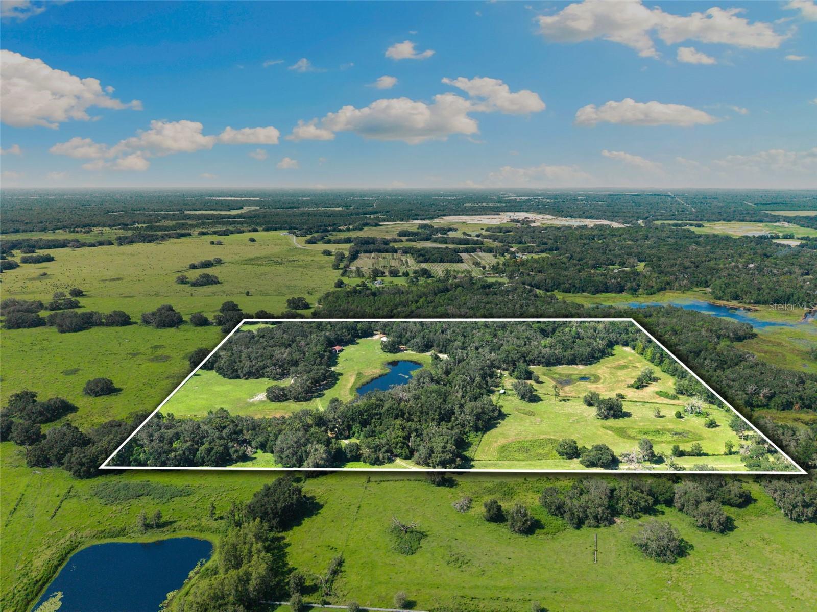 Photo of 14765 US HIGHWAY 41 SPRING HILL FL 34610