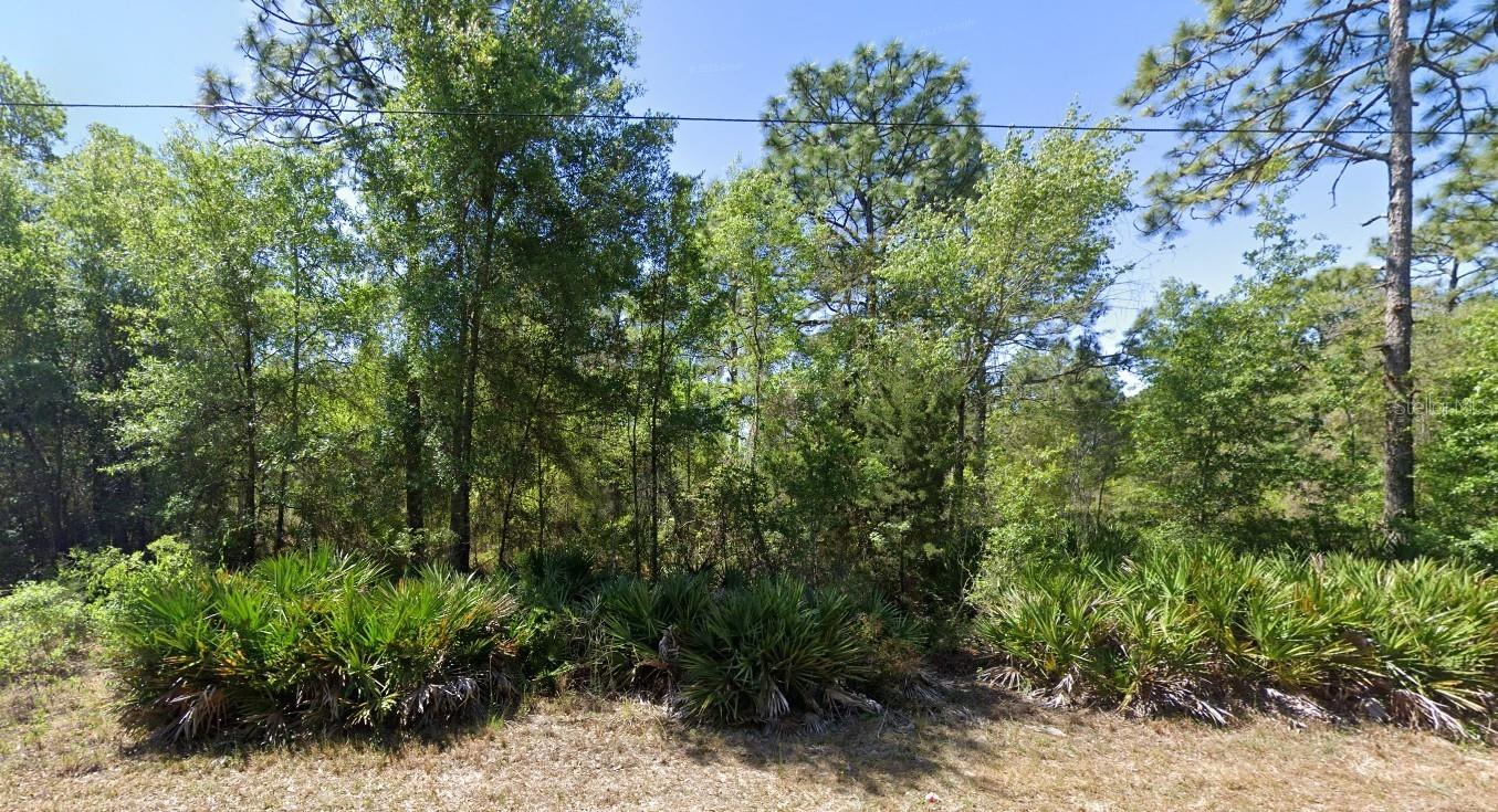 Photo of 7350 W VILLAGE DRIVE HOMOSASSA FL 34446