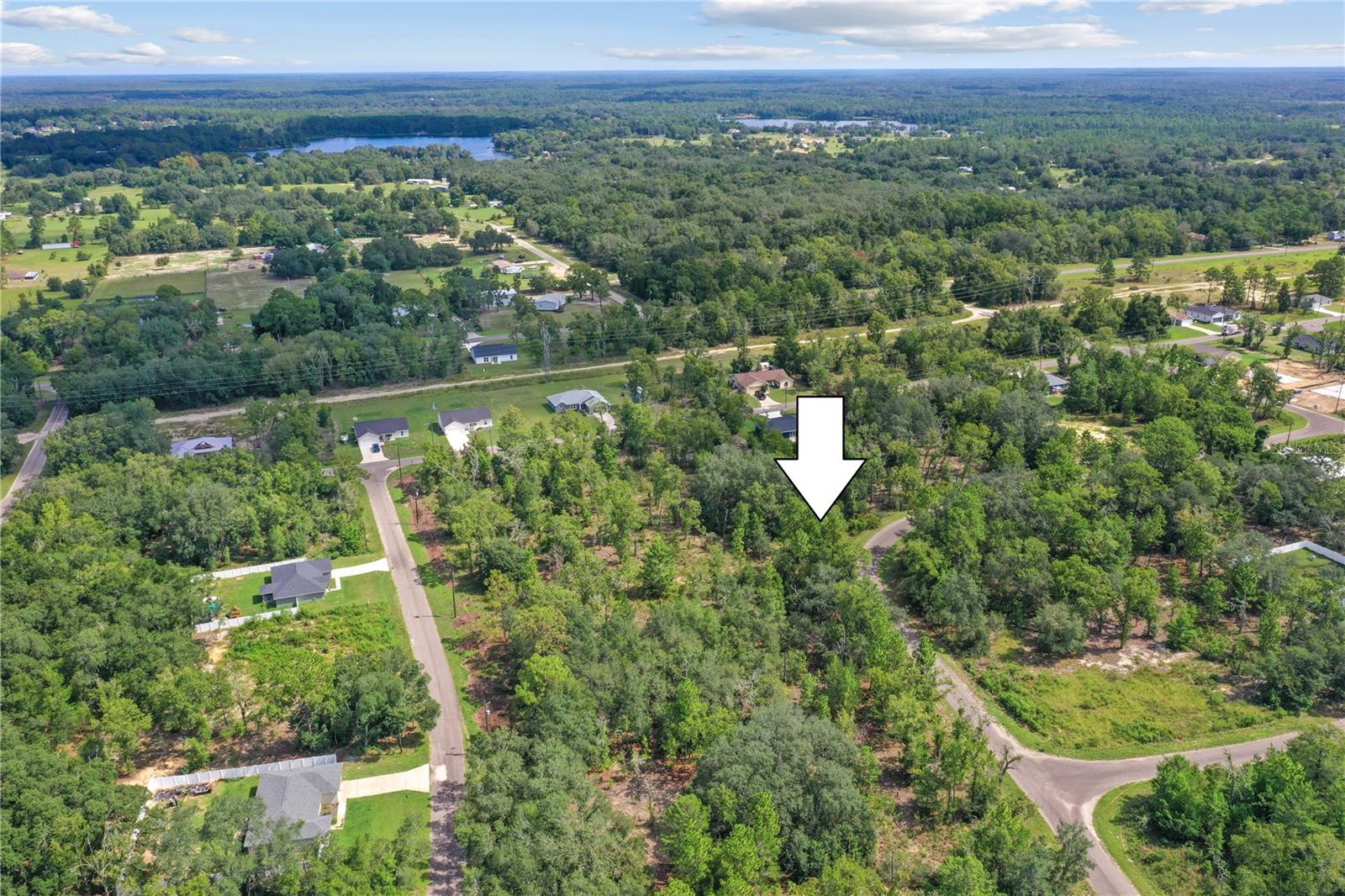 Photo of 0024 GUAVA PASS DRIVE OCKLAWAHA FL 32179