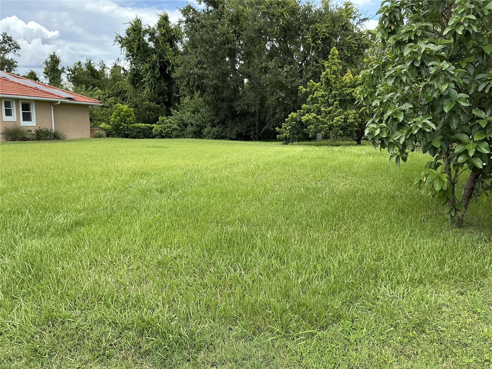 Photo of 21049 LOS CABOS COURT LAND O LAKES FL 34637