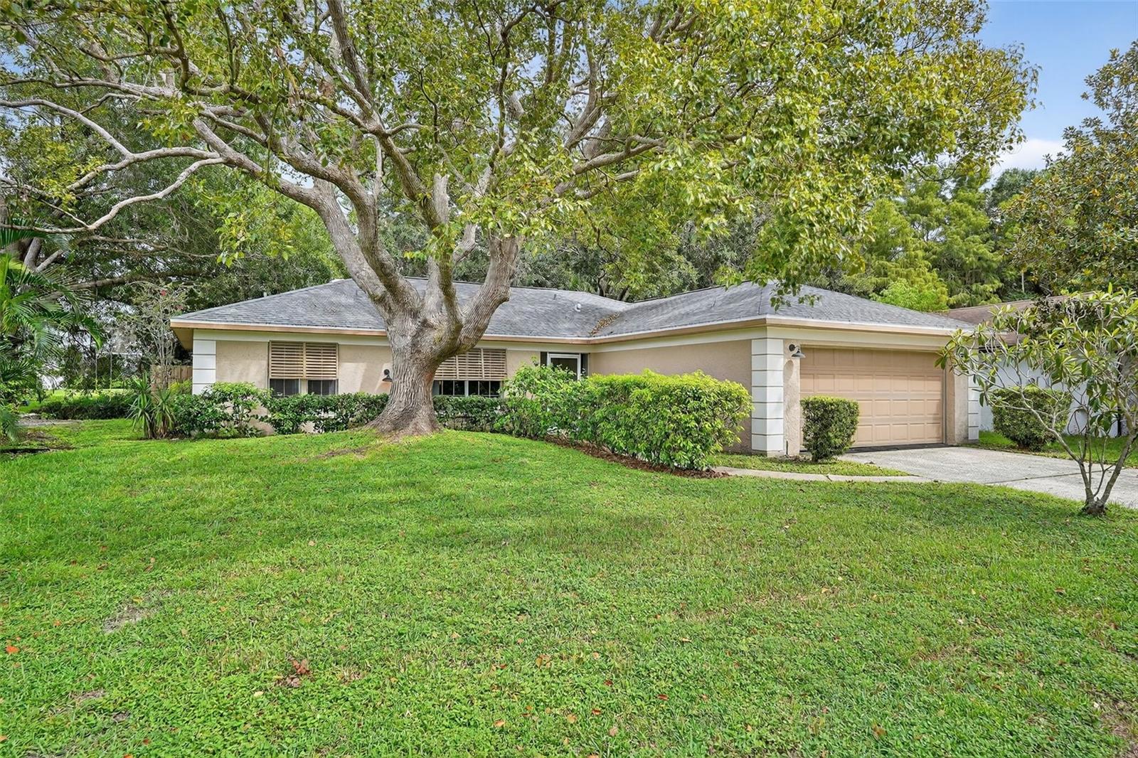 Photo of 3602 PLAYER DRIVE NEW PORT RICHEY FL 34655