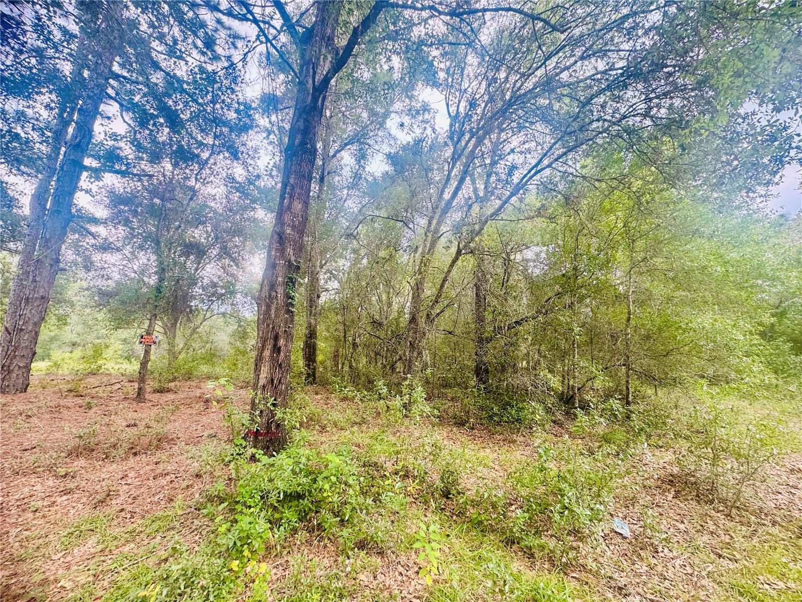 Photo of 2203 ADAMS STREET INVERNESS FL 34453