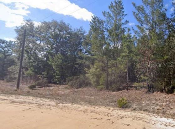 Photo of UNASSIGNED RD INTERLACHEN FL 32148