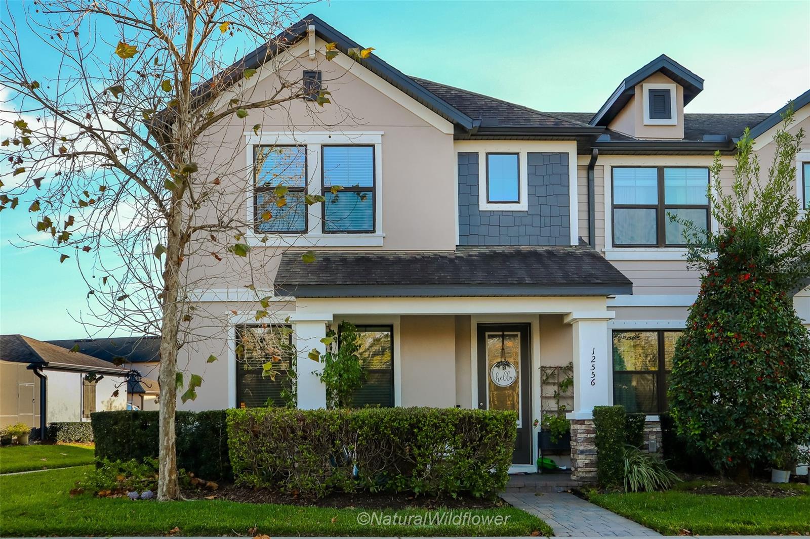 Photo of 12556 RANGELAND BOULEVARD ODESSA FL 33556