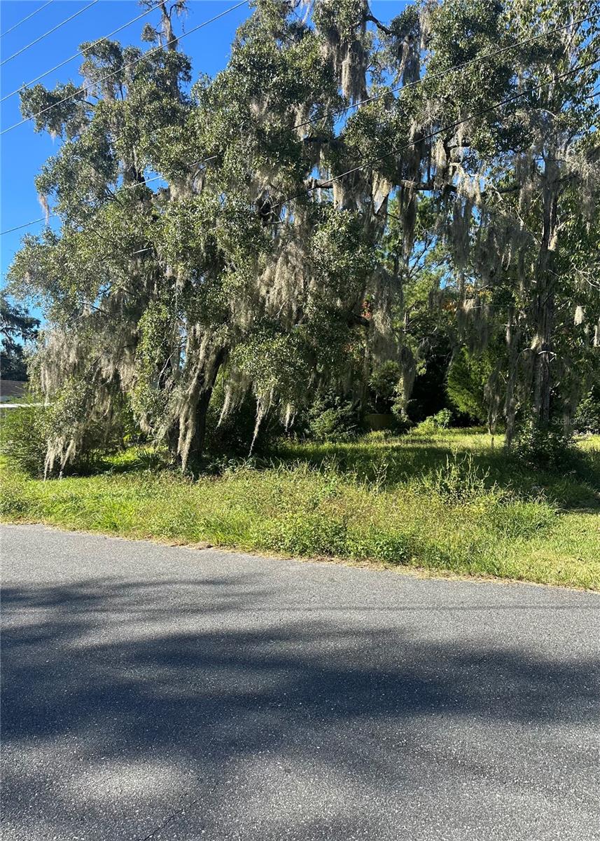 Photo of Lot 8 NE 1ST STREET WILLISTON FL 32696