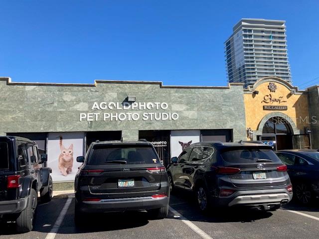Photo of 3105 W BAY TO BAY BOULEVARD TAMPA FL 33629