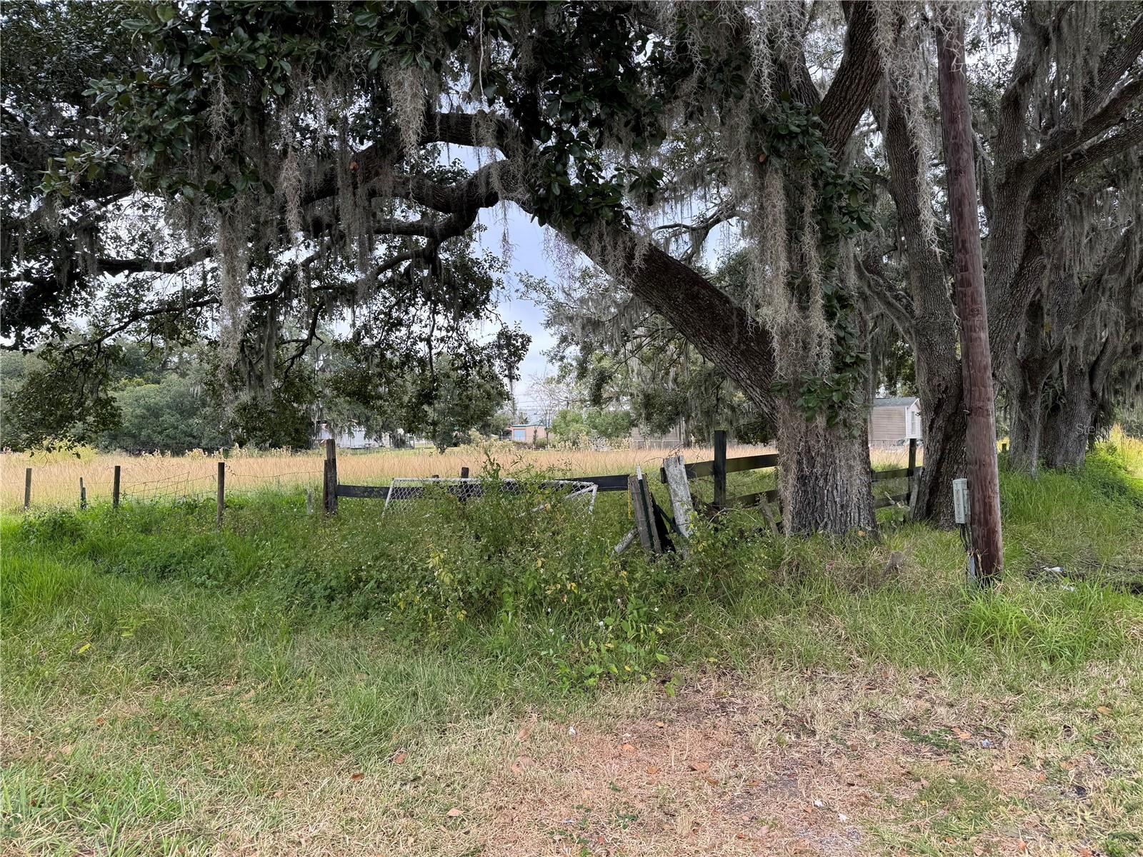 Photo of 0 CASON ROAD PLANT CITY FL 33566