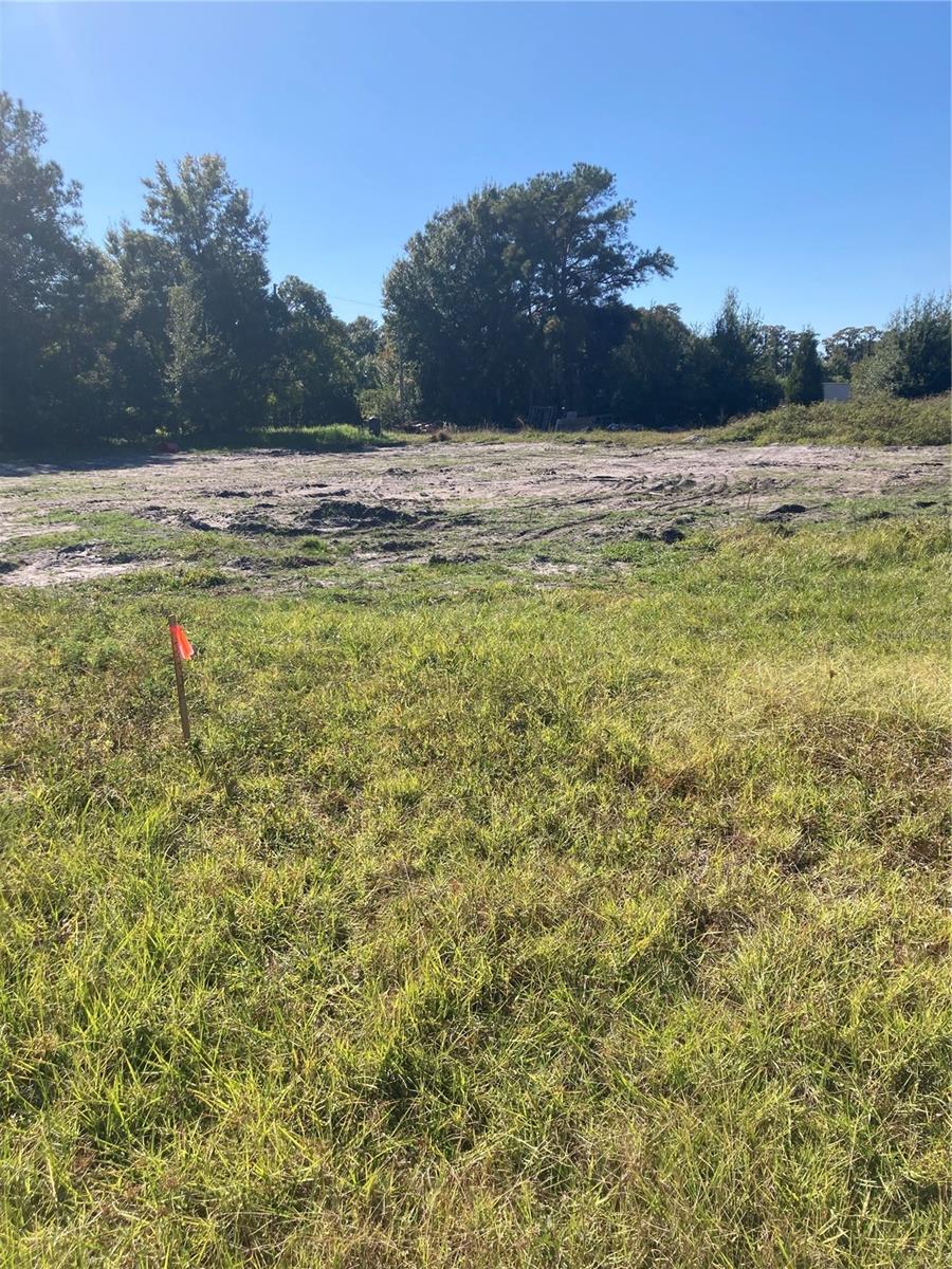 Photo of 6277 TOWER ROAD LAND O LAKES FL 34638