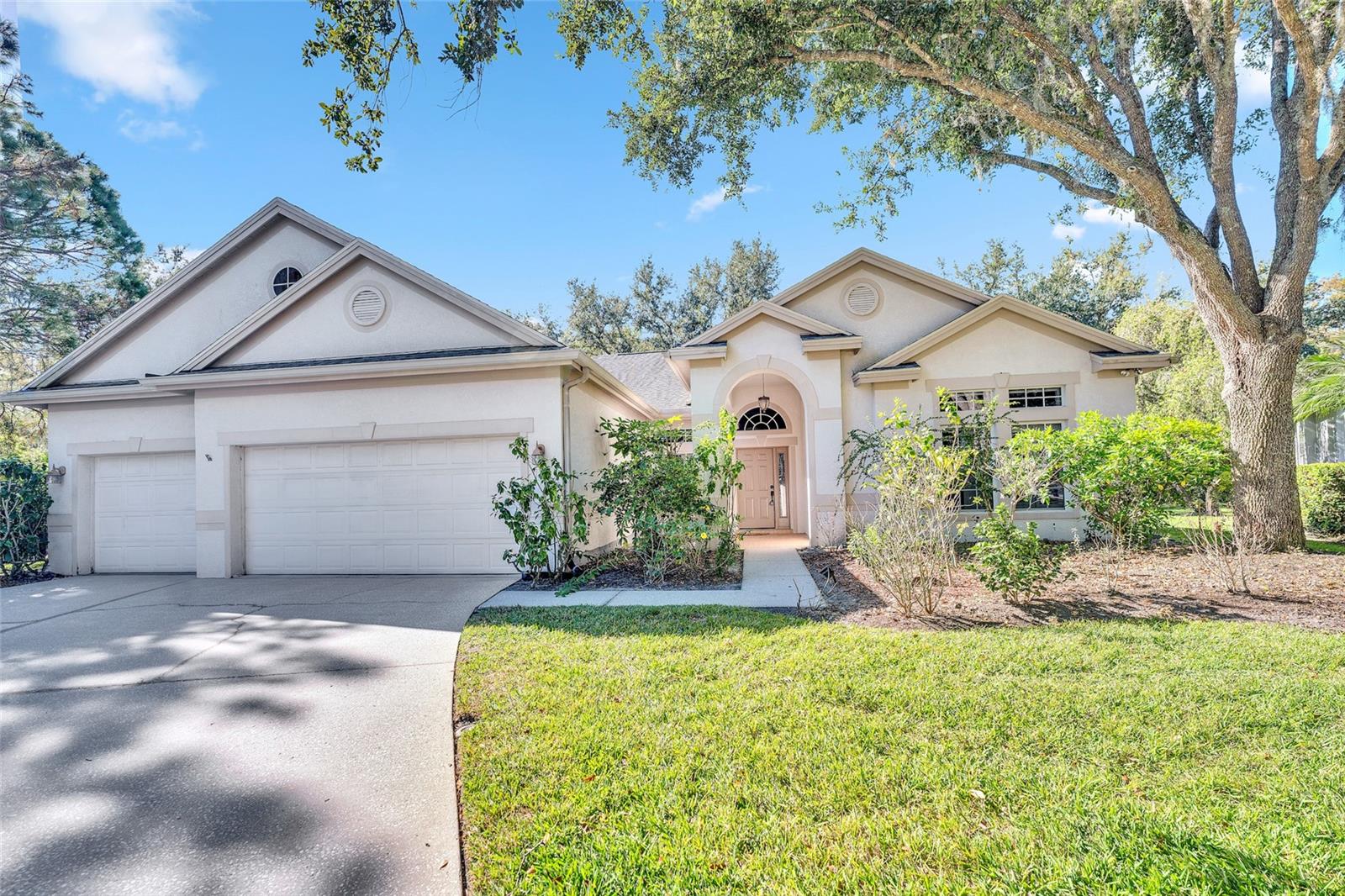 Photo of 10218 SHADOW BRANCH DRIVE TAMPA FL 33647