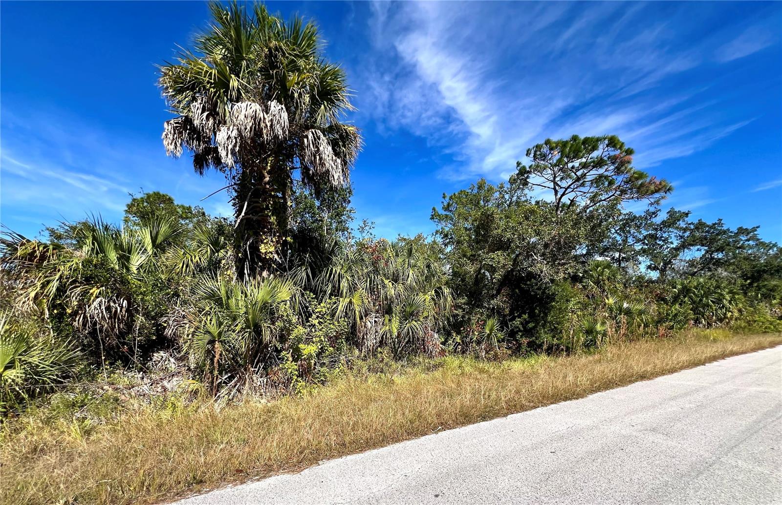 Photo of LOT 8 DETROIT AVE HUDSON FL 34667