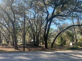 Photo of 16222 LIVINGSTON AVENUE LUTZ FL 33559