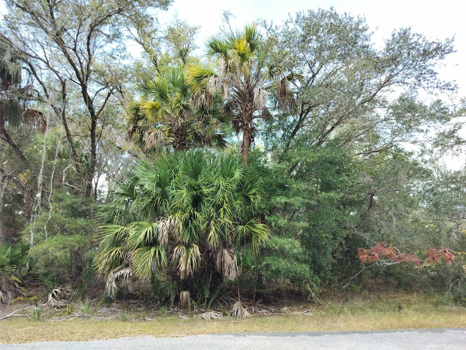 Photo of 9999 N SNOWBALL POINT CRYSTAL RIVER FL 34428