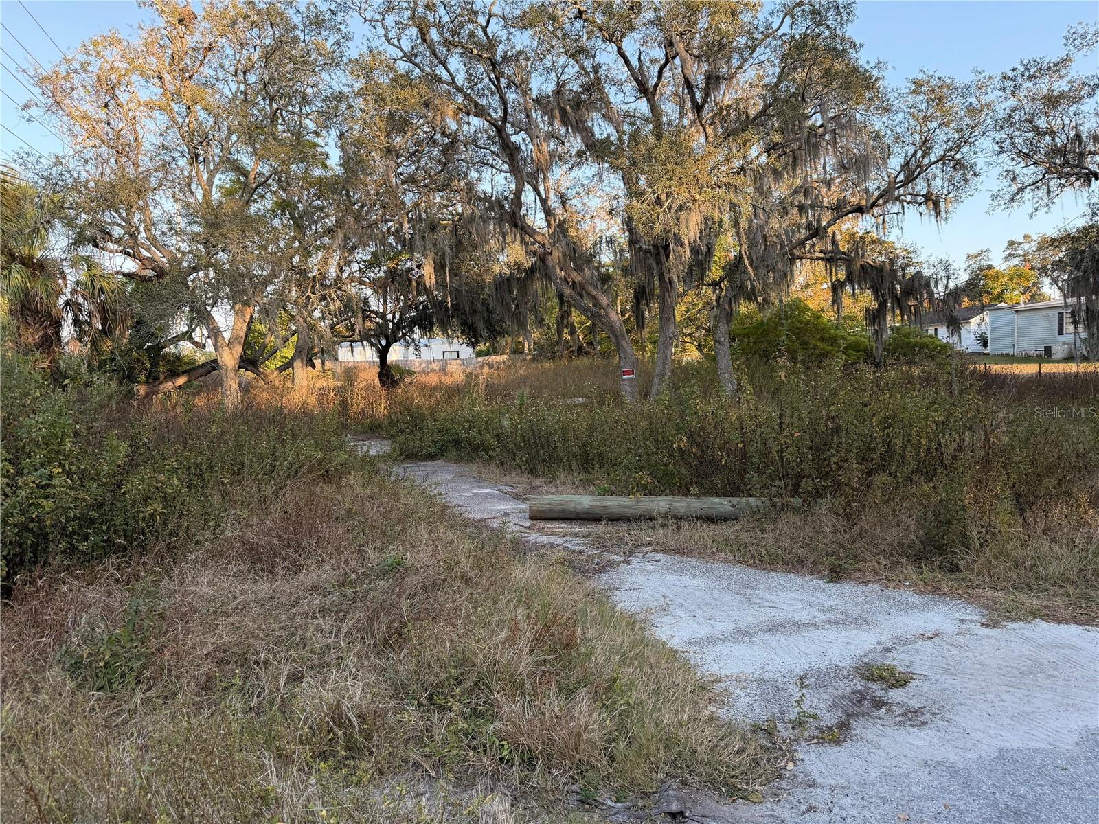 Photo of 13934 LITEWOOD DRIVE HUDSON FL 34669