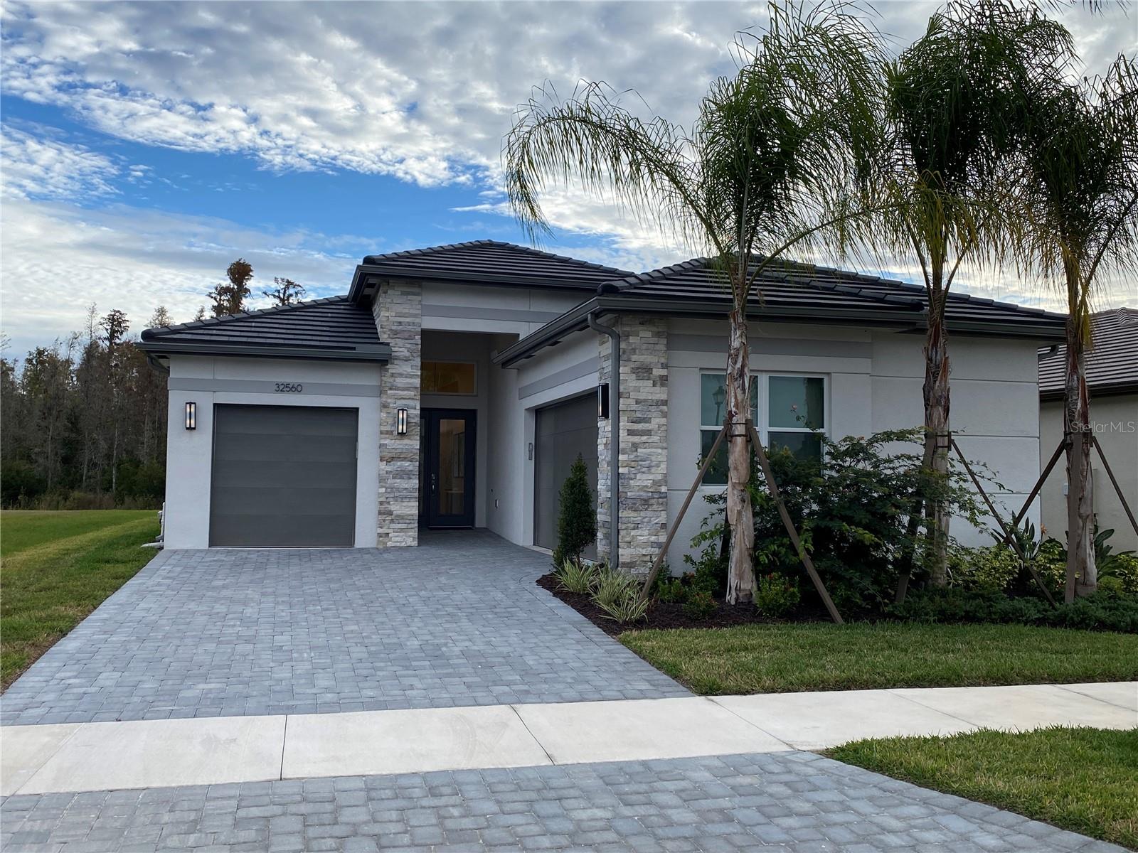 Photo of 32643 NEROLI STREET WESLEY CHAPEL FL 33543