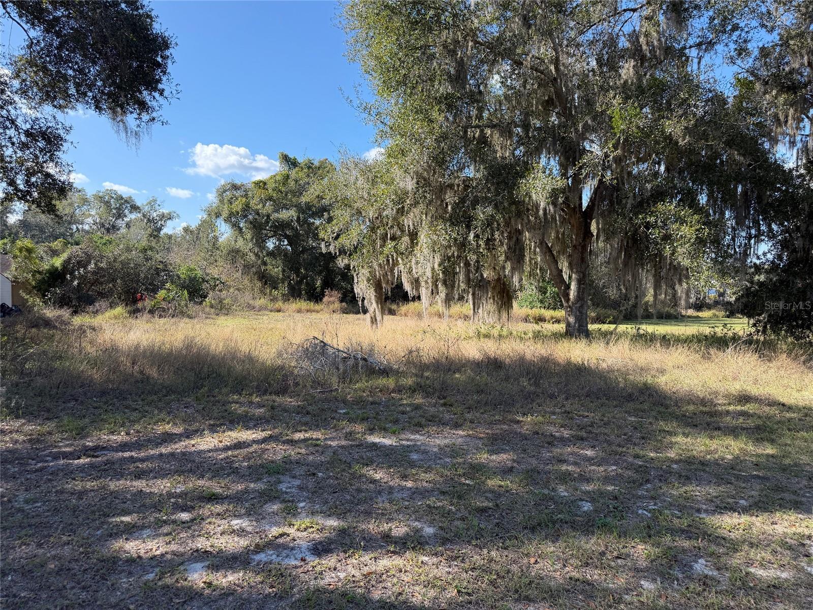 Photo of MOHAWK STREET MASCOTTE FL 34753