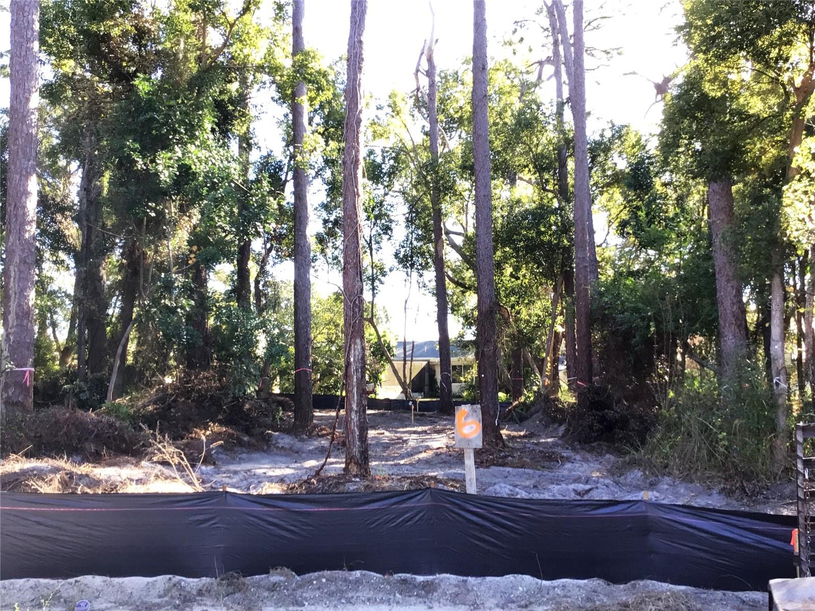 Photo of 1298 ALMARIA COURT PALM HARBOR FL 34683