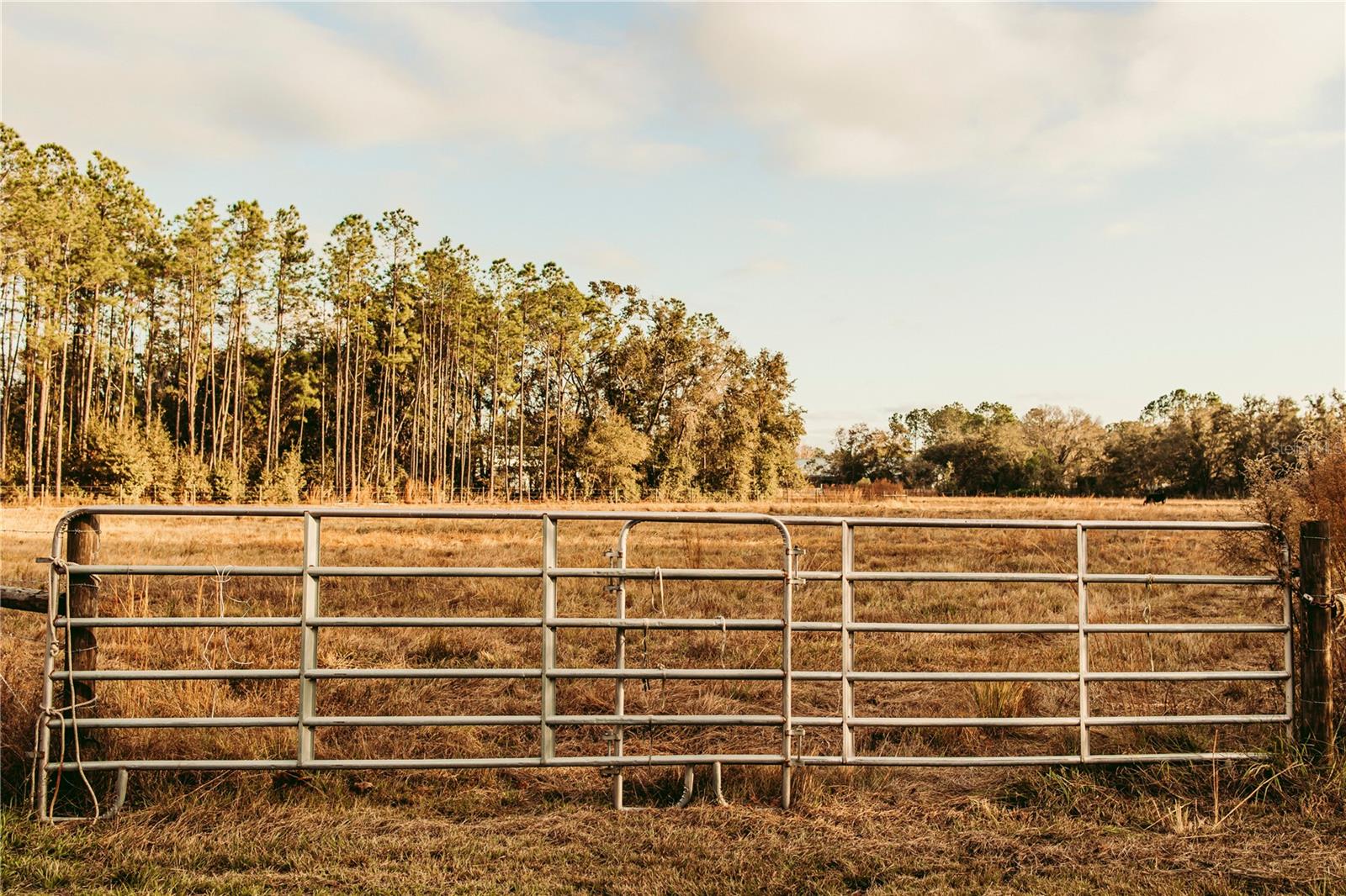 Photo of 0 N DORMANY ROAD PLANT CITY FL 33565