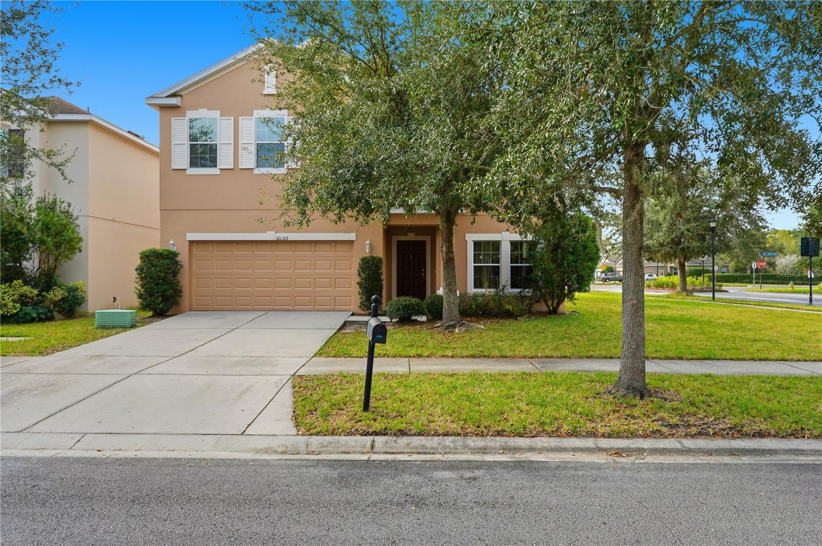Photo of 20203 AUTUMN FERN AVENUE TAMPA FL 33647