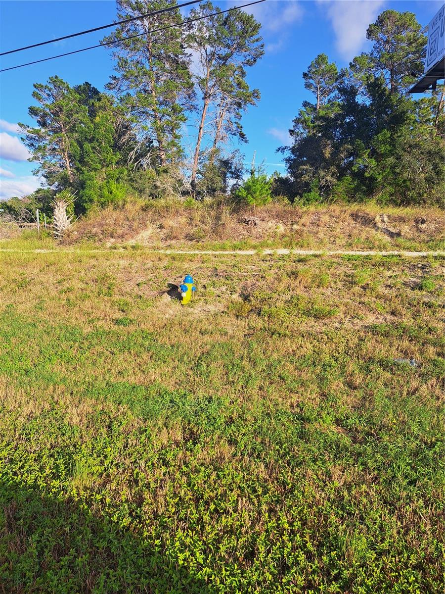 Photo of US 19 HWY HUDSON FL 34667