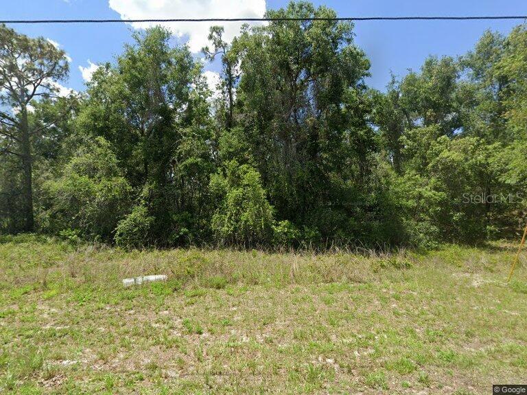 Photo of IDLE A WHILE CIRCLE DADE CITY FL 33523