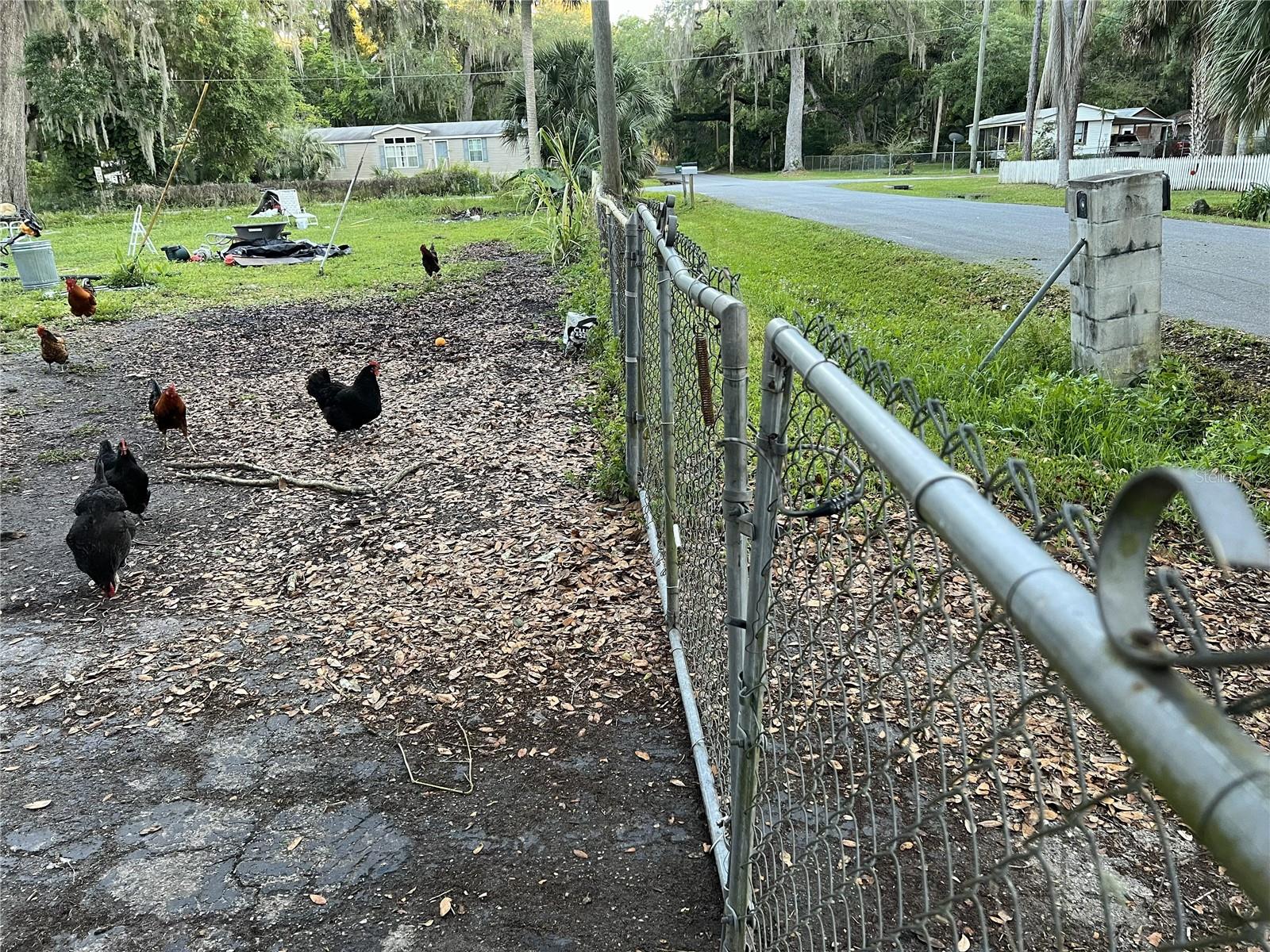 Photo of 2805 CR 423 LAKE PANASOFFKEE FL 33538