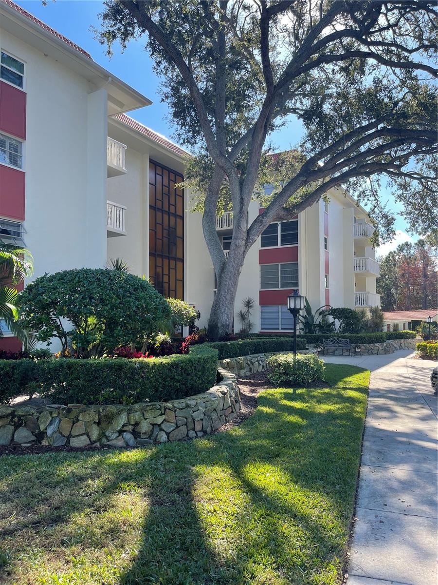 Photo of 2650 PEARCE DRIVE #309 CLEARWATER FL 33764