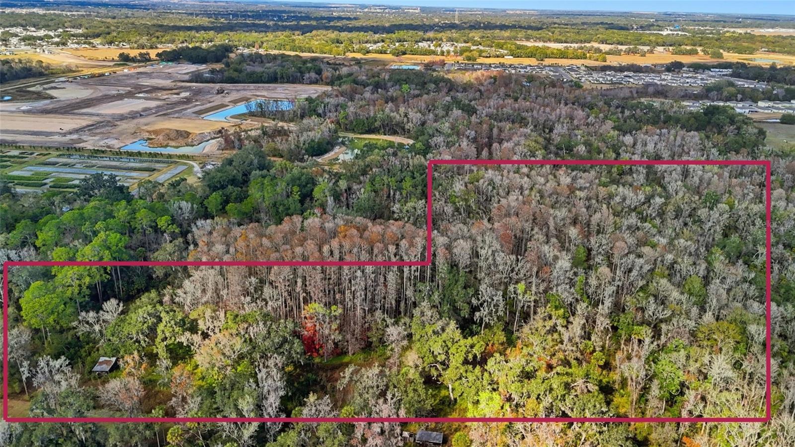 Photo of HIGGINSON ROAD ZEPHYRHILLS FL 33540