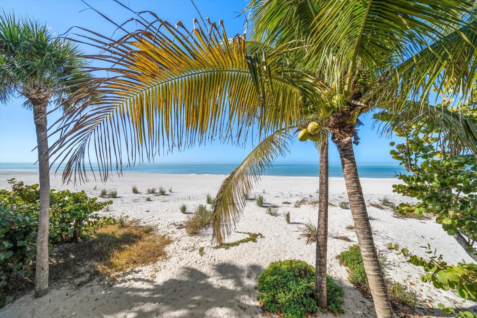 Photo of 8640 W GULF BOULEVARD TREASURE ISLAND FL 33706